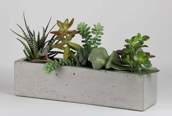 vasos-de-cimento Jardins em Vasos Criativos: Personalize Seus Recipientes com DIY